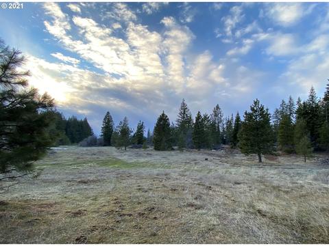33 E Timber Valley Rd, Appleton, WA 98602 photo 1