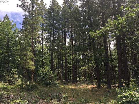 241 Pine Creek Rd, Bickleton, WA 99322 photo 1