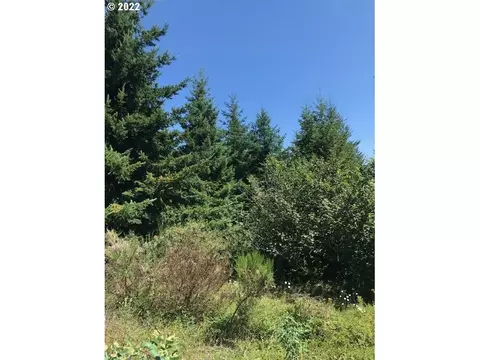 0 Powers Creek Loop, Silverton, OR 97381