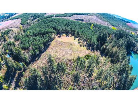 39800 Hwy 58, Lowell, OR 97452