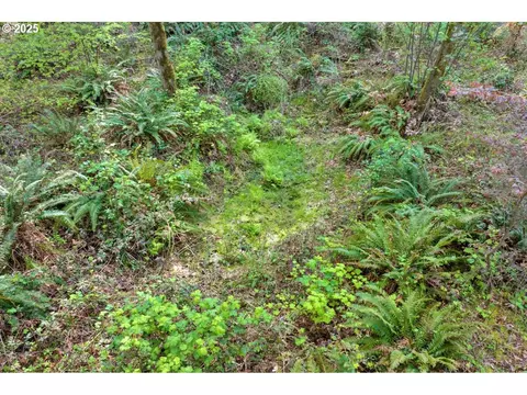 38220 Boscage Ln, Springfield, OR 97478 photo 18