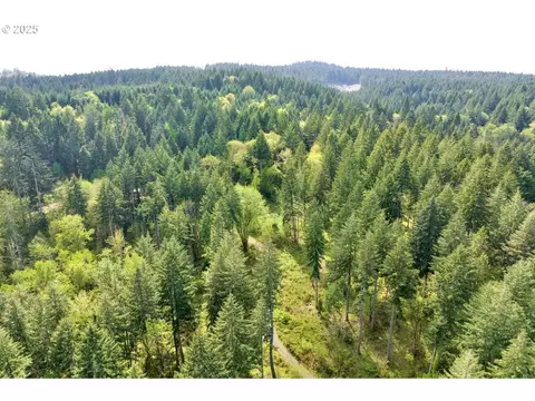38220 Boscage Ln, Springfield, OR 97478 photo 21