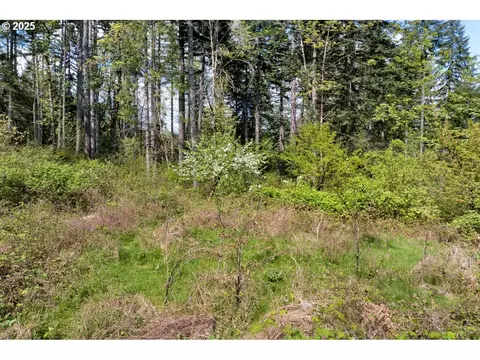 38220 Boscage Ln, Springfield, OR 97478 photo 20