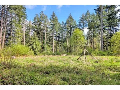 38220 Boscage Ln, Springfield, OR 97478 photo 17