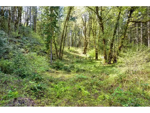 38220 Boscage Ln, Springfield, OR 97478 photo 19