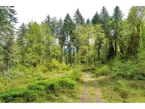 38220 Boscage Ln, Springfield, OR 97478 photo 14