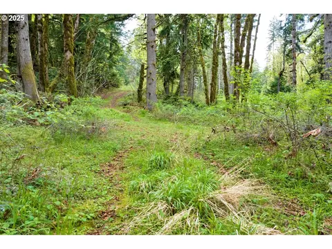 38220 Boscage Ln, Springfield, OR 97478 photo 15