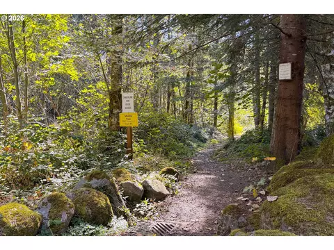 Other - 64911 E Sandy River Ln, Rhododendron, OR 97049 photo 5 of 6