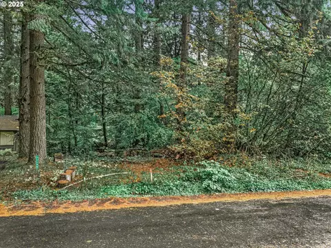 Tax Id 00967270, Rhododendron, OR 97049