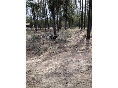 51232 Festis Ave, La Pine, OR 97739 photo 1