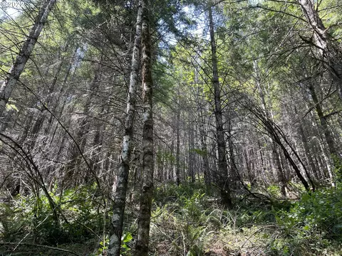 S Fork Molalla Rd, Molalla, OR 97038 photo 9