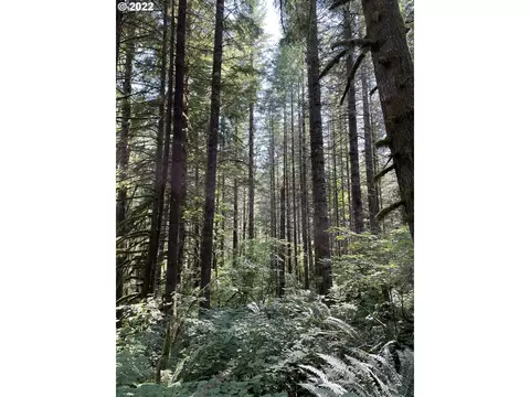 S Fork Molalla Rd, Molalla, OR 97038 photo 11