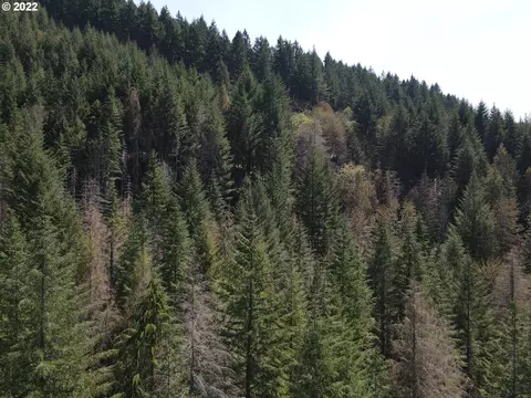 S Fork Molalla Rd, Molalla, OR 97038 photo 5
