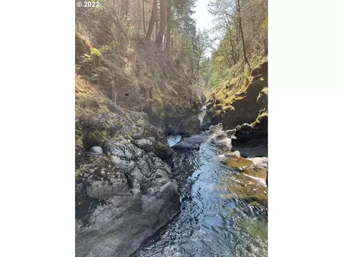 S Fork Molalla Rd, Molalla, OR 97038 photo 15