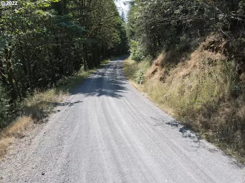S Fork Molalla Rd, Molalla, OR 97038 photo 8