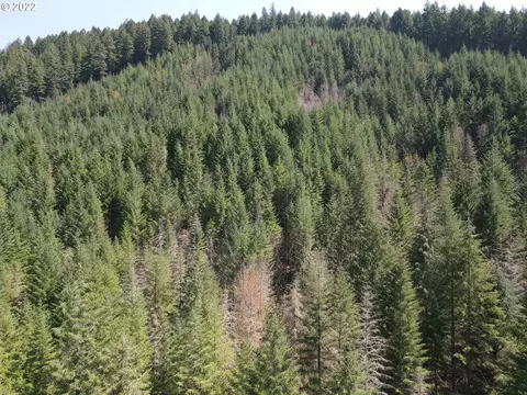 S Fork Molalla Rd, Molalla, OR 97038 photo 6