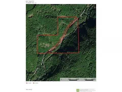 S Fork Molalla Rd, Molalla, OR 97038 photo 3