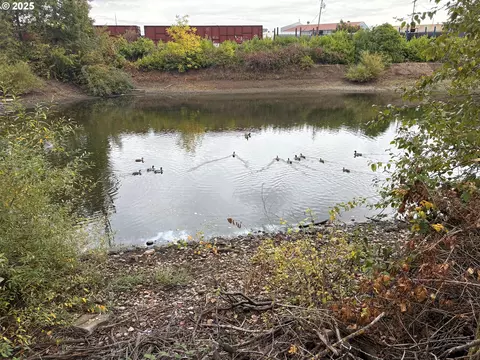 View/Area - 1281 Hwy 99n, Eugene, OR 97402 photo 7 of 7