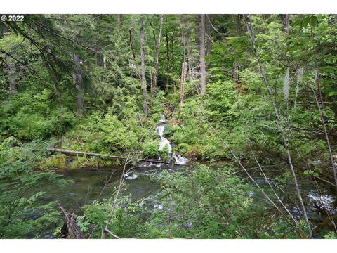 101 Hemlock Rd, Carson, WA 98610 photo 1