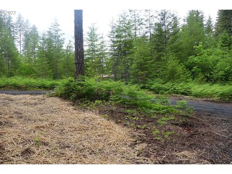 103 Hemlock Rd, Carson, WA 98610