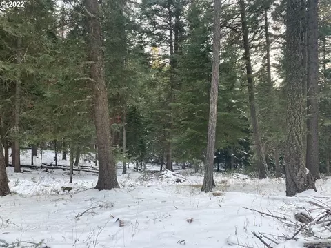 60451 Tucker Down Rd, Joseph, OR 97846 photo 1