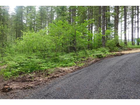 105 Hemlock Rd, Carson, WA 98610 photo 1