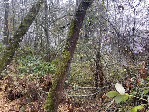 806 Sundance St, Eugene, OR 97405 photo 8