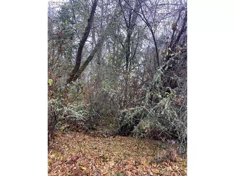 806 Sundance St, Eugene, OR 97405 photo 4