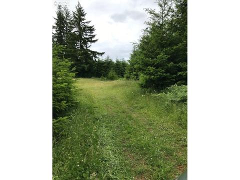 56644 Walker Rd, Scappoose, OR 97056
