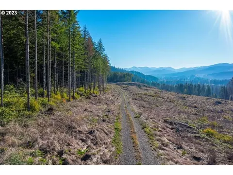 0 SE Pioneer Rd, Mill City, OR 97360