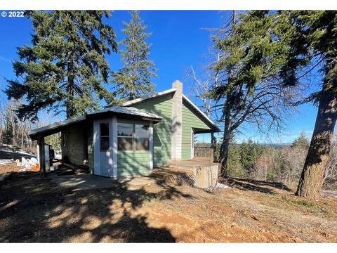 91 Appleton Rd, Lyle, WA 98635 photo 1