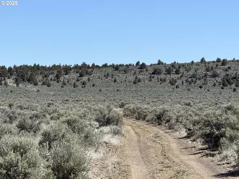 browns valley rd, Christmas Valley, OR 97641