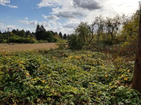 Thornton Lake Dr Nw, Albany, OR 97321