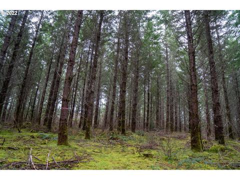 0 Green Peak Rd, Monroe, OR 97456