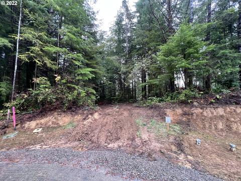 Little Woahink Dr, Florence, OR 97439