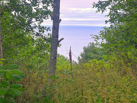 1017 Keenah Ln, Yachats, OR 97498