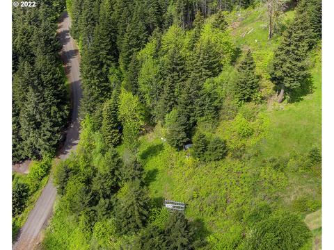 111 Baker Rd, Stevenson, WA 98648