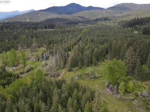 10561 Wind River Rd, Carson, WA 98610 photo 1