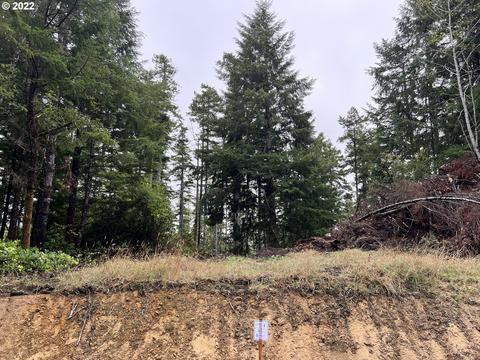 Little Woahink Dr, Florence, OR 97439