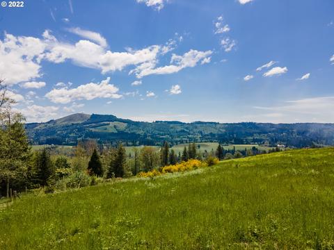 105 Galaxy Pl, Woodland, WA 98674