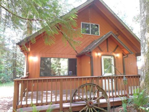 69120 E Vine Maple Dr, Rhododendron, OR 97049 photo 1