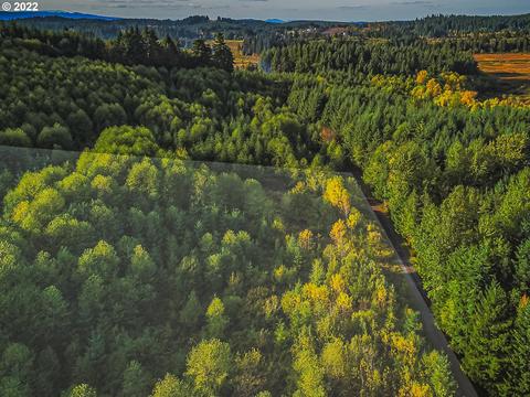 Westshore Rd, Castle Rock, WA 98611