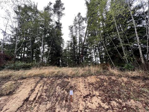 Little Woahink Dr, Florence, OR 97439