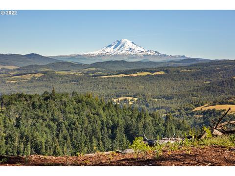 Snowden, White Salmon, WA 98672