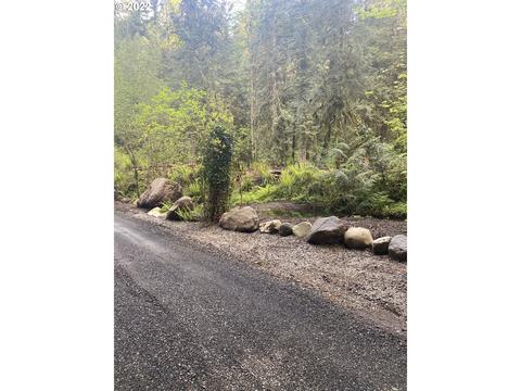 64225 E Mcintyre Rd, Rhododendron, OR 97049 photo 1