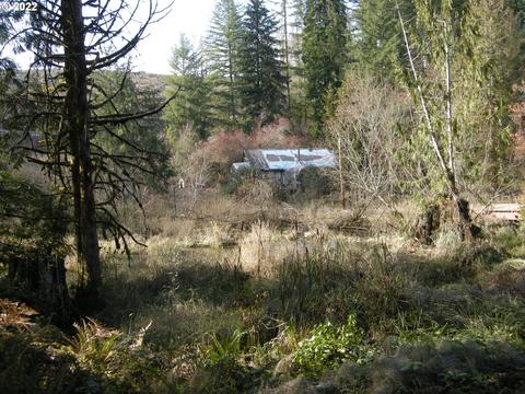 71725 Lentz Rd, Rainier, OR 97048
