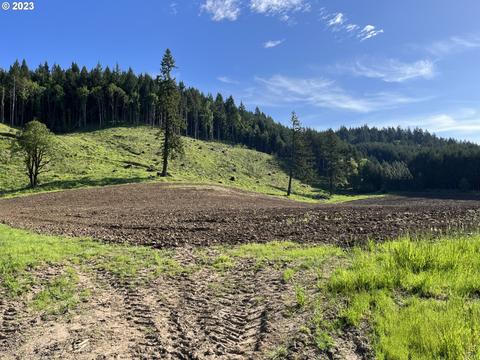 0 Gooseneck, Sheridan, OR 97378