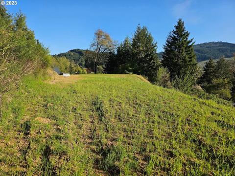 228 E D Ave, Drain, OR 97435