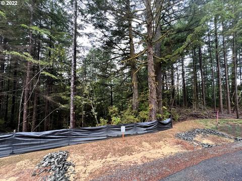 Little Woahink Dr, Florence, OR 97439
