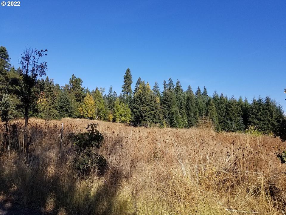  4300 Klm Dr, Mt Hood Prkdl, OR 97041 photo 1